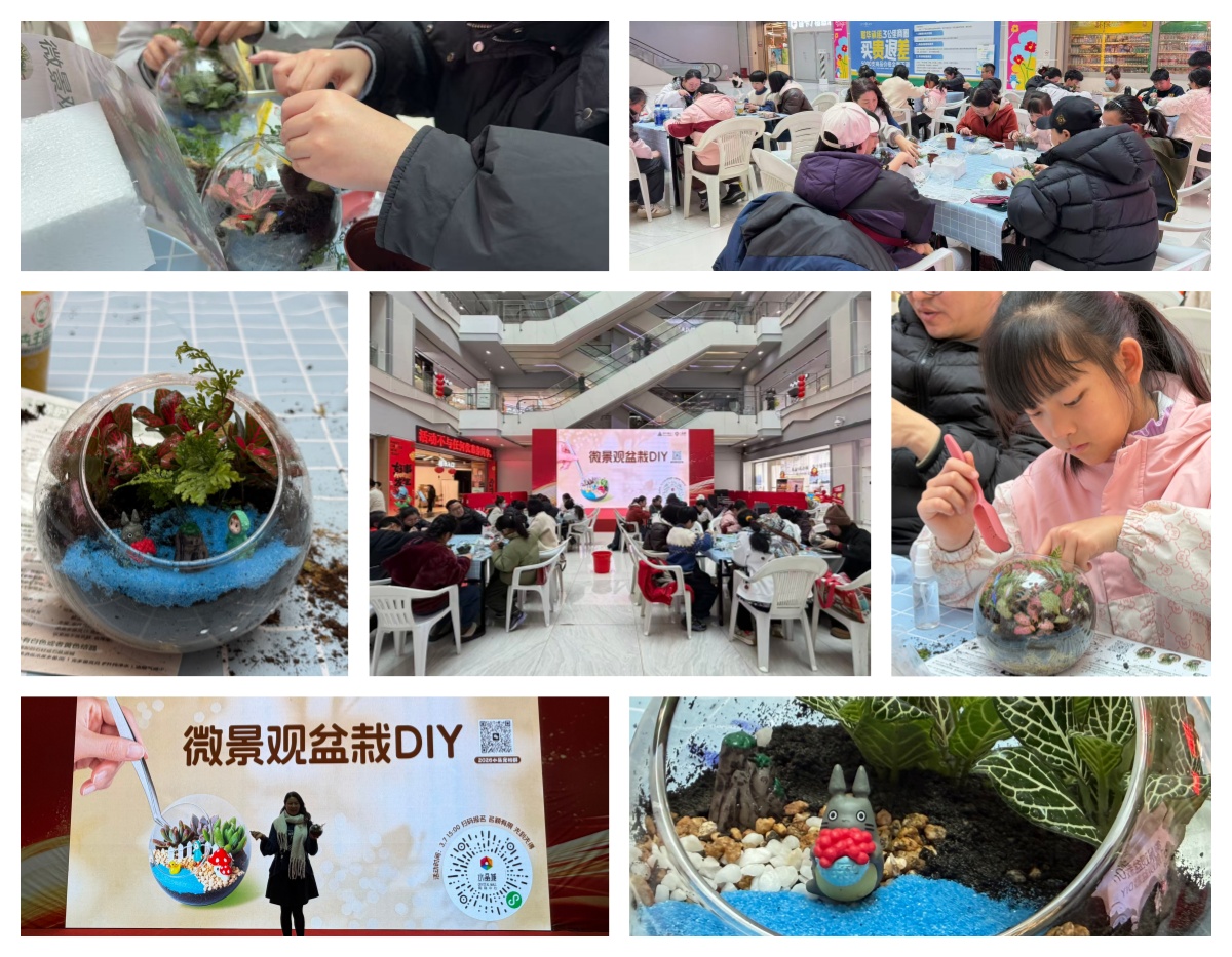 巧手造微景，指尖绽春意——水晶城微景观盆栽 DIY 活动圆满举办
